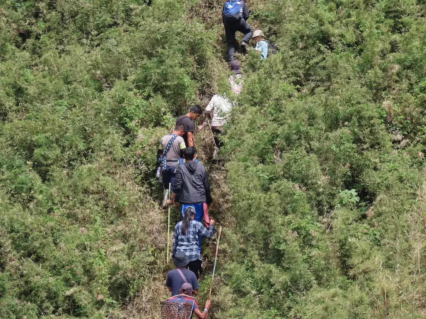 Trekker on a forest trail in the Arunachal hills