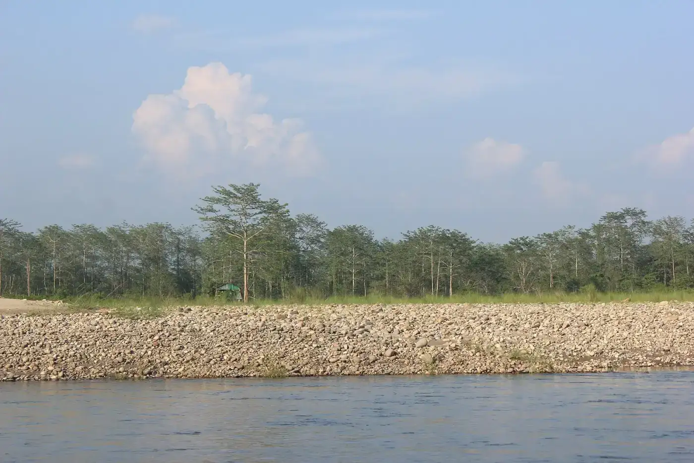Pebble banks and forest on the Jia Bhoreli river
