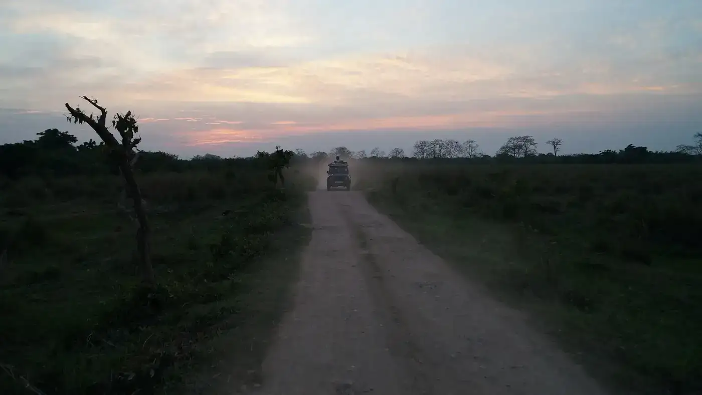 Safari track through grassland at dawn in Kaziranga