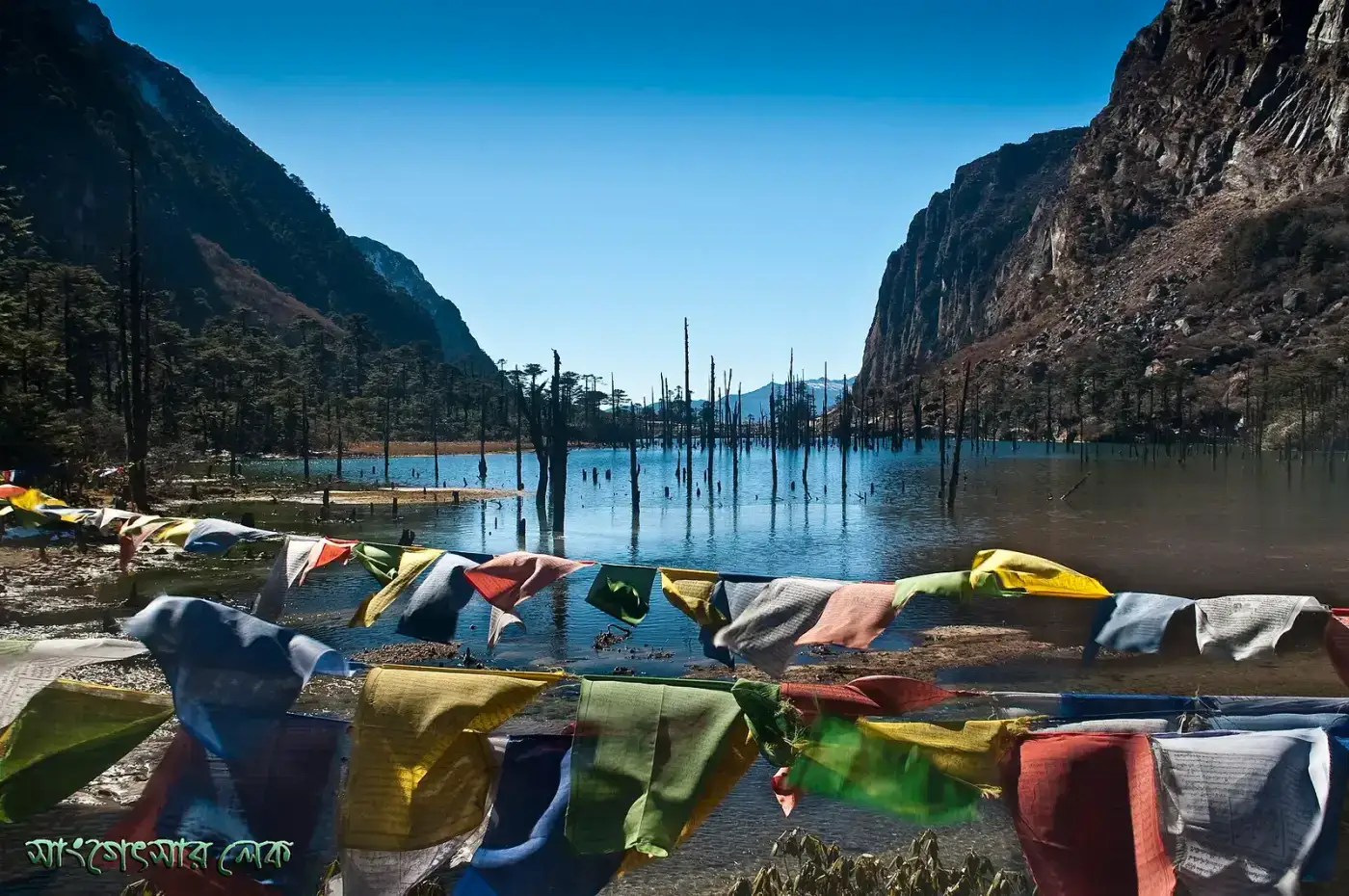 Prayer flags beside Shungatser Lake in Arunachal Pradesh