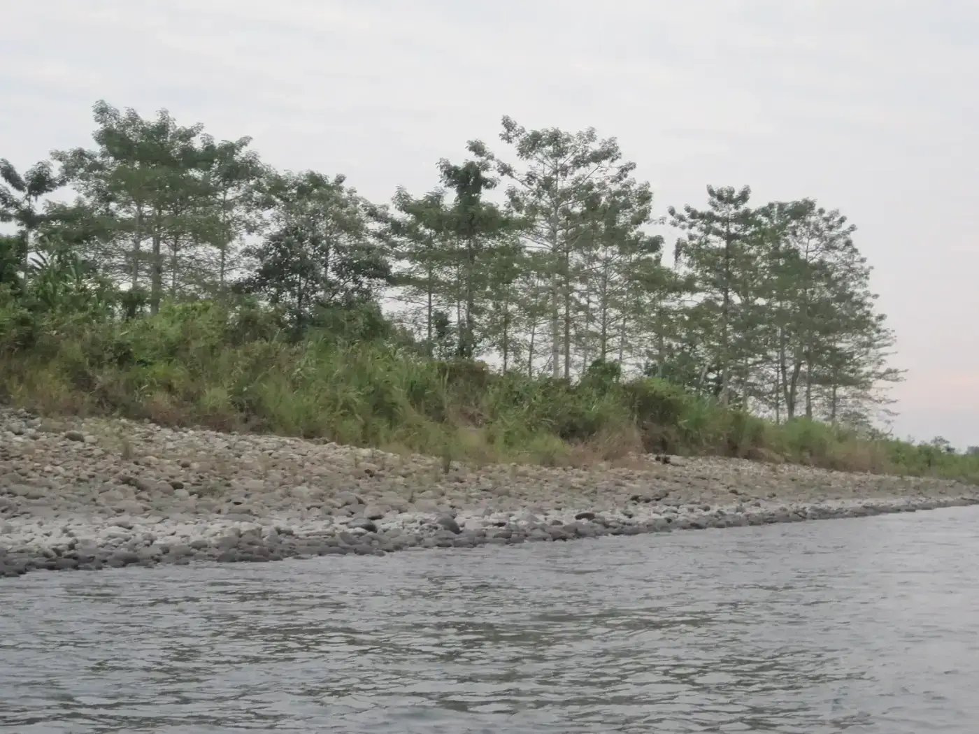 Forested banks of the Jia Bhoreli in Nameri National Park