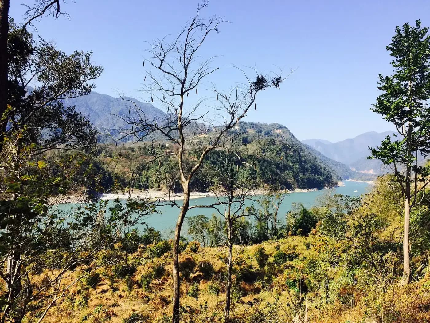 Forest and river near Pasighat, East Siang