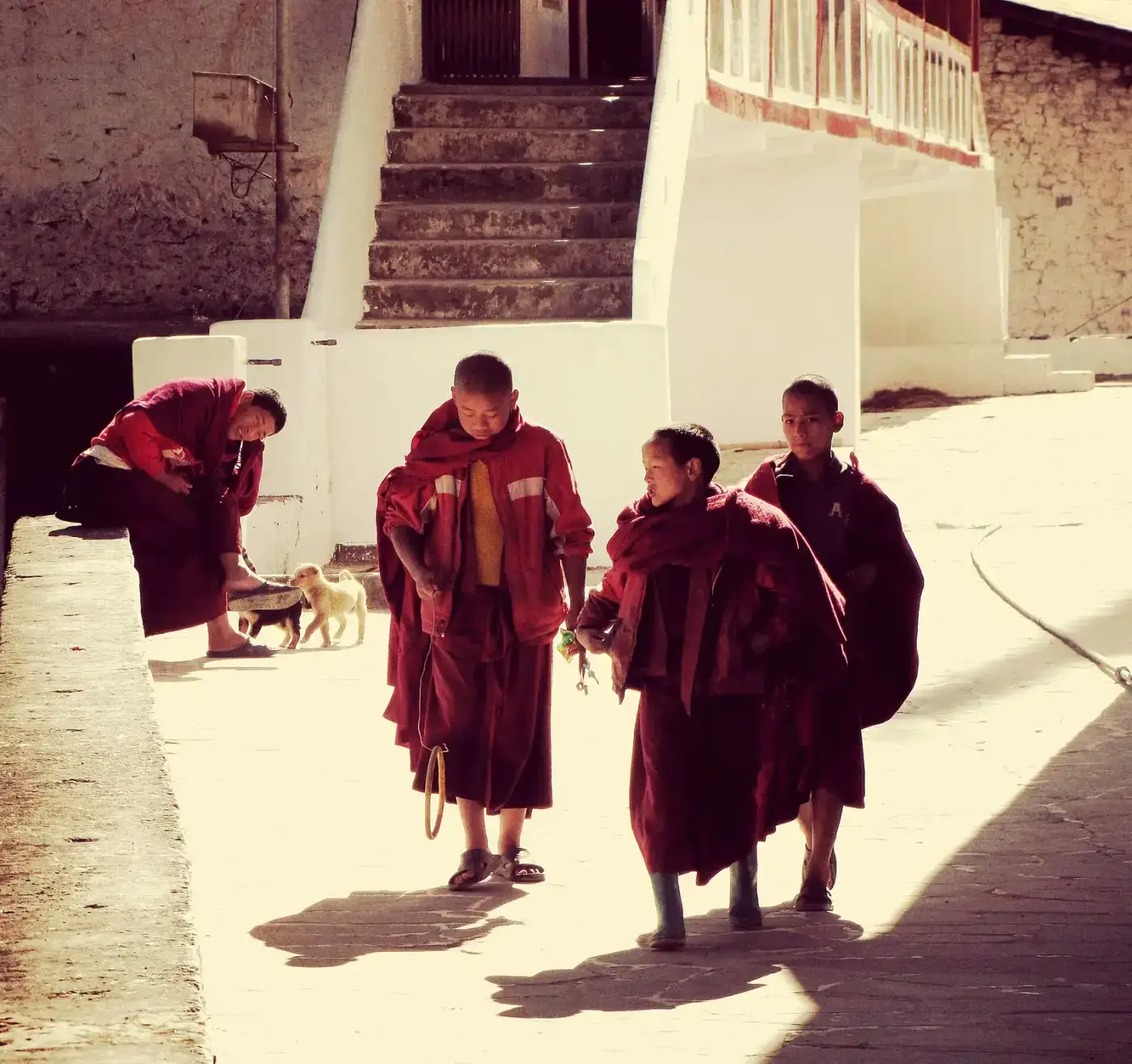 Young Buddhist monks in maroon robes at a monastery in Arunachal Pradesh