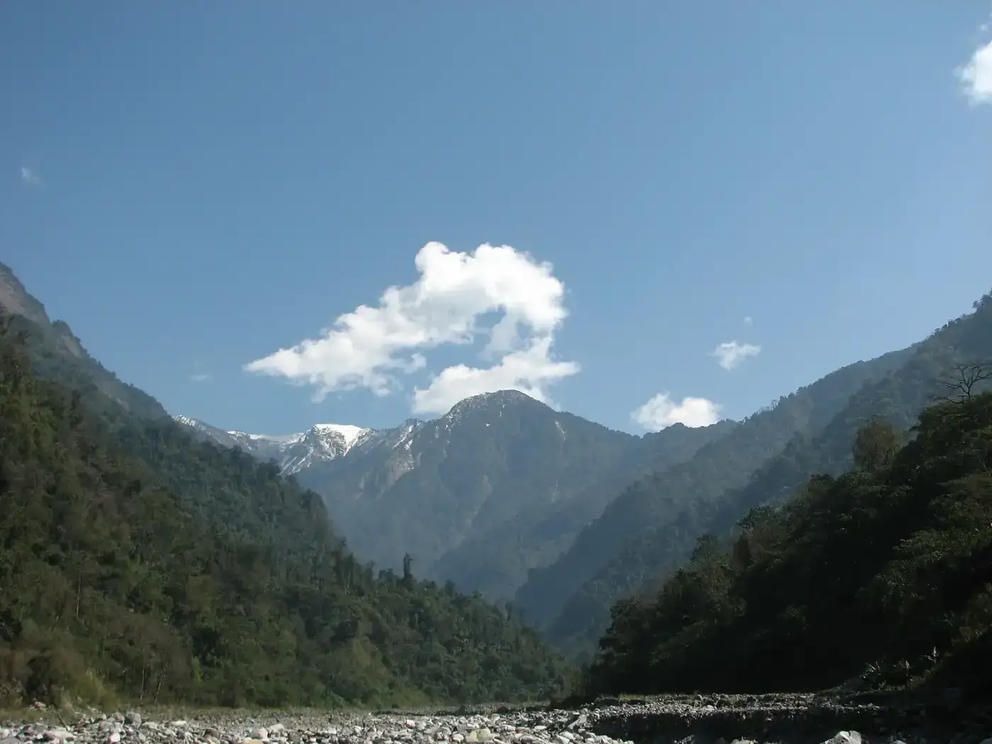 Deep forested gorge and snow peaks in Dibang Valley