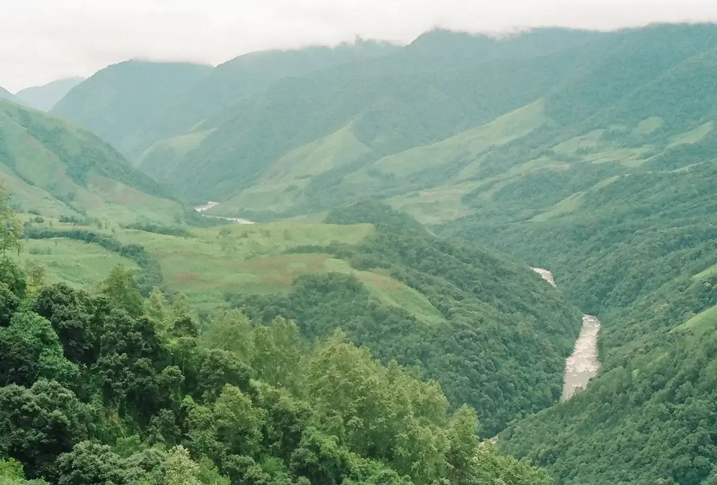 Green hills of Dibang Valley district