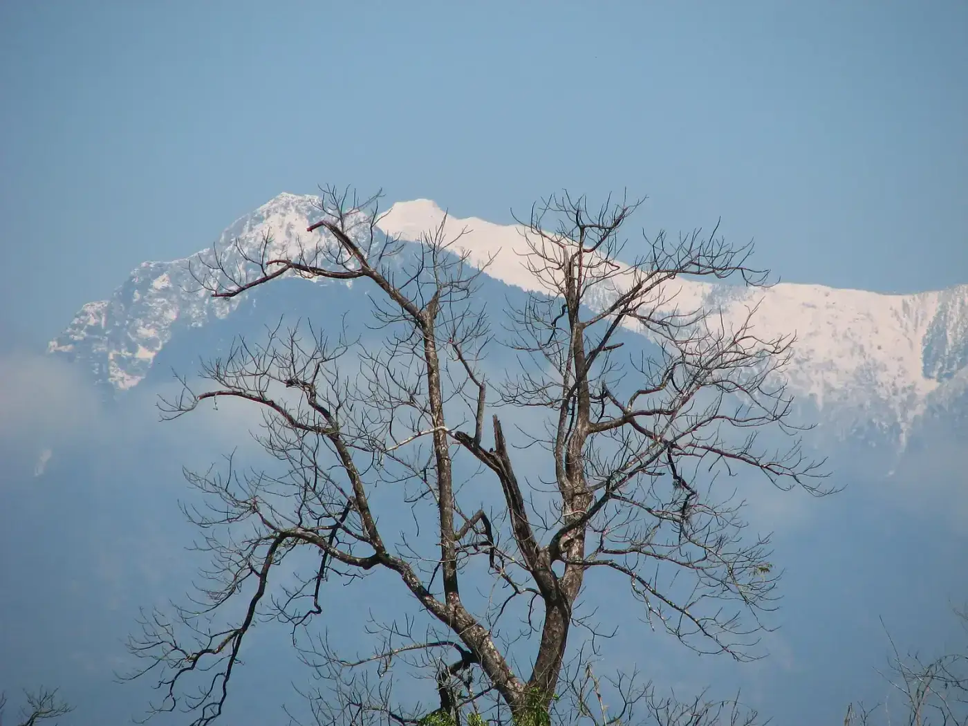 Snow-capped peak seen from Anini