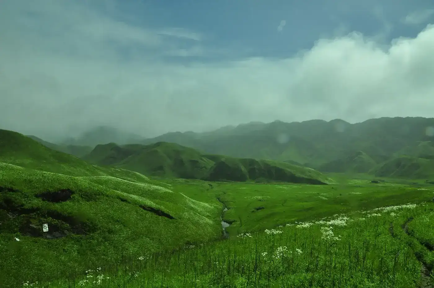 Meadows and streams in Dzukou Valley, Nagaland