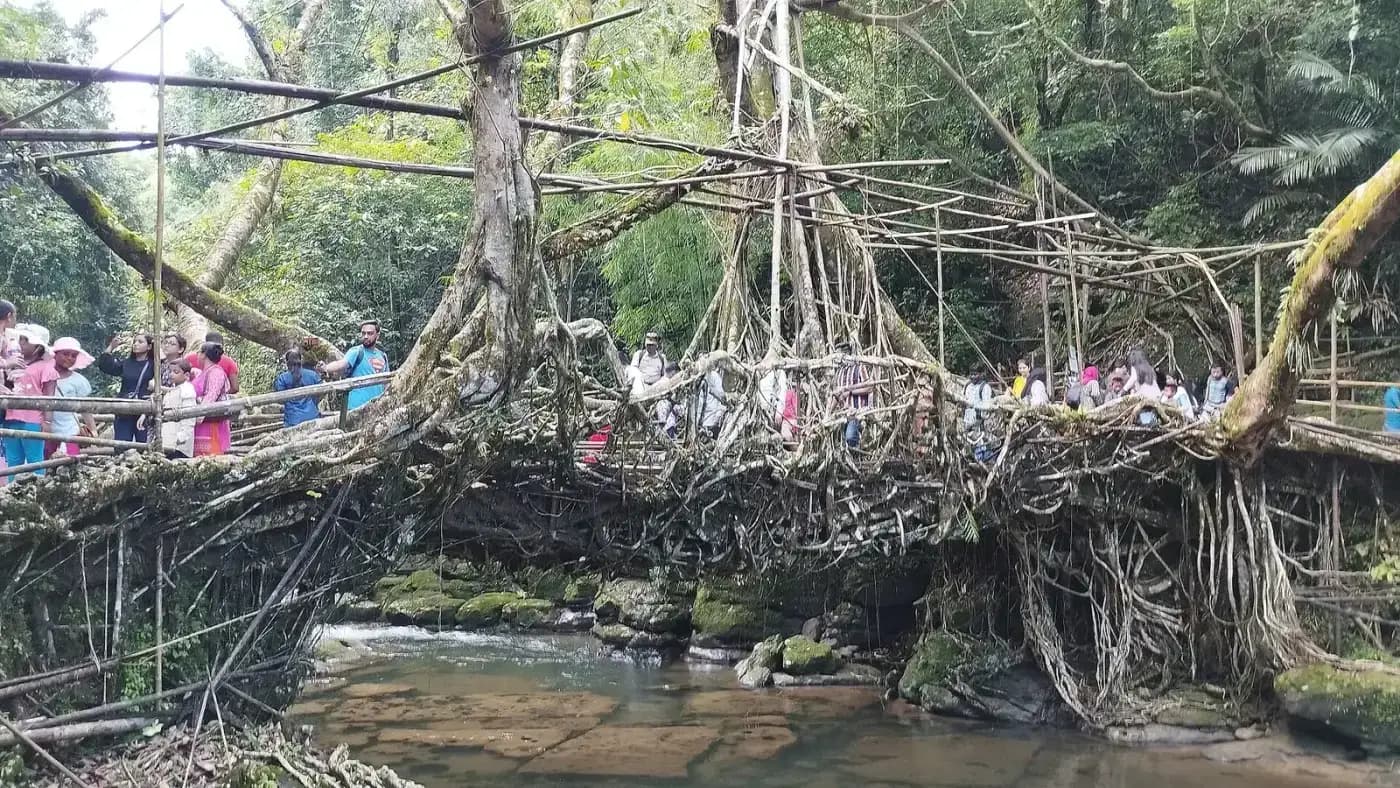 Trekkers crossing a living root bridge in Meghalaya