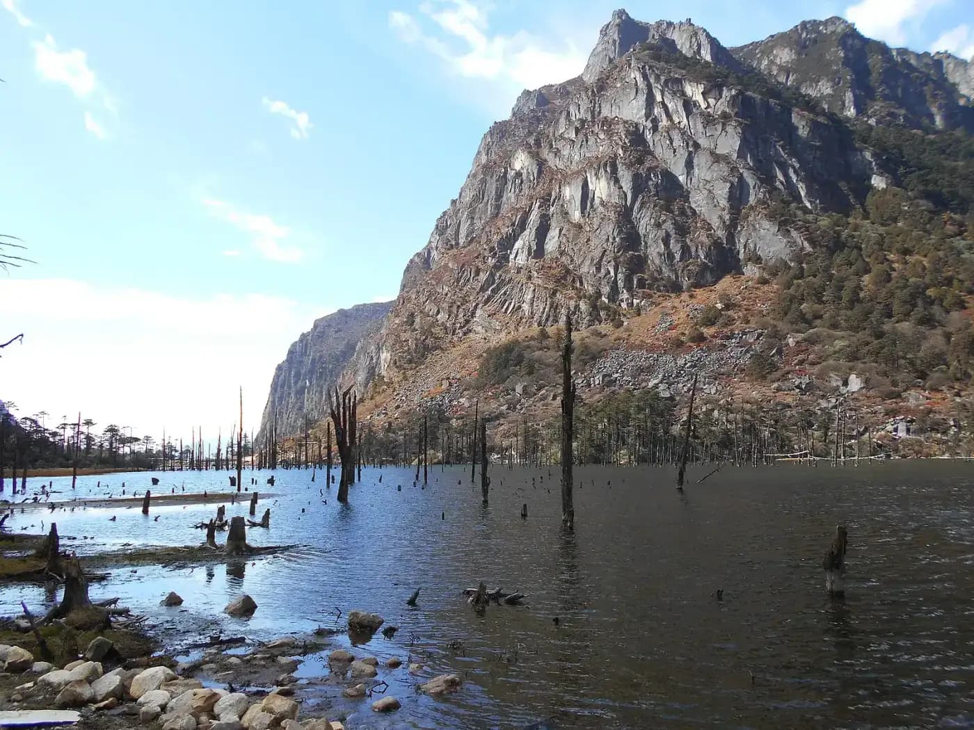 Drowned tree trunks in Madhuri (Shungatser) Lake near Tawang