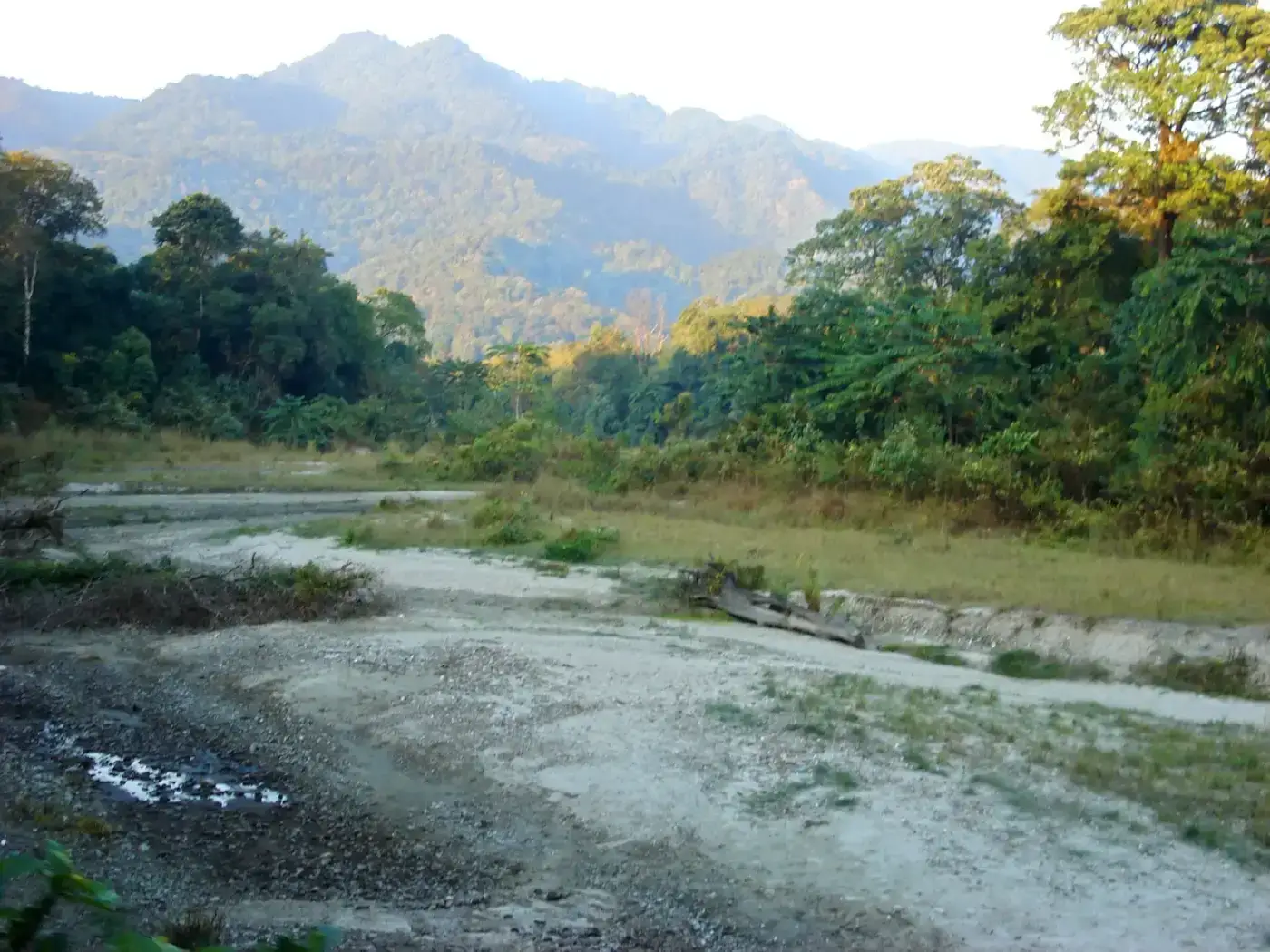 Manas River flowing through forested foothills in Manas National Park