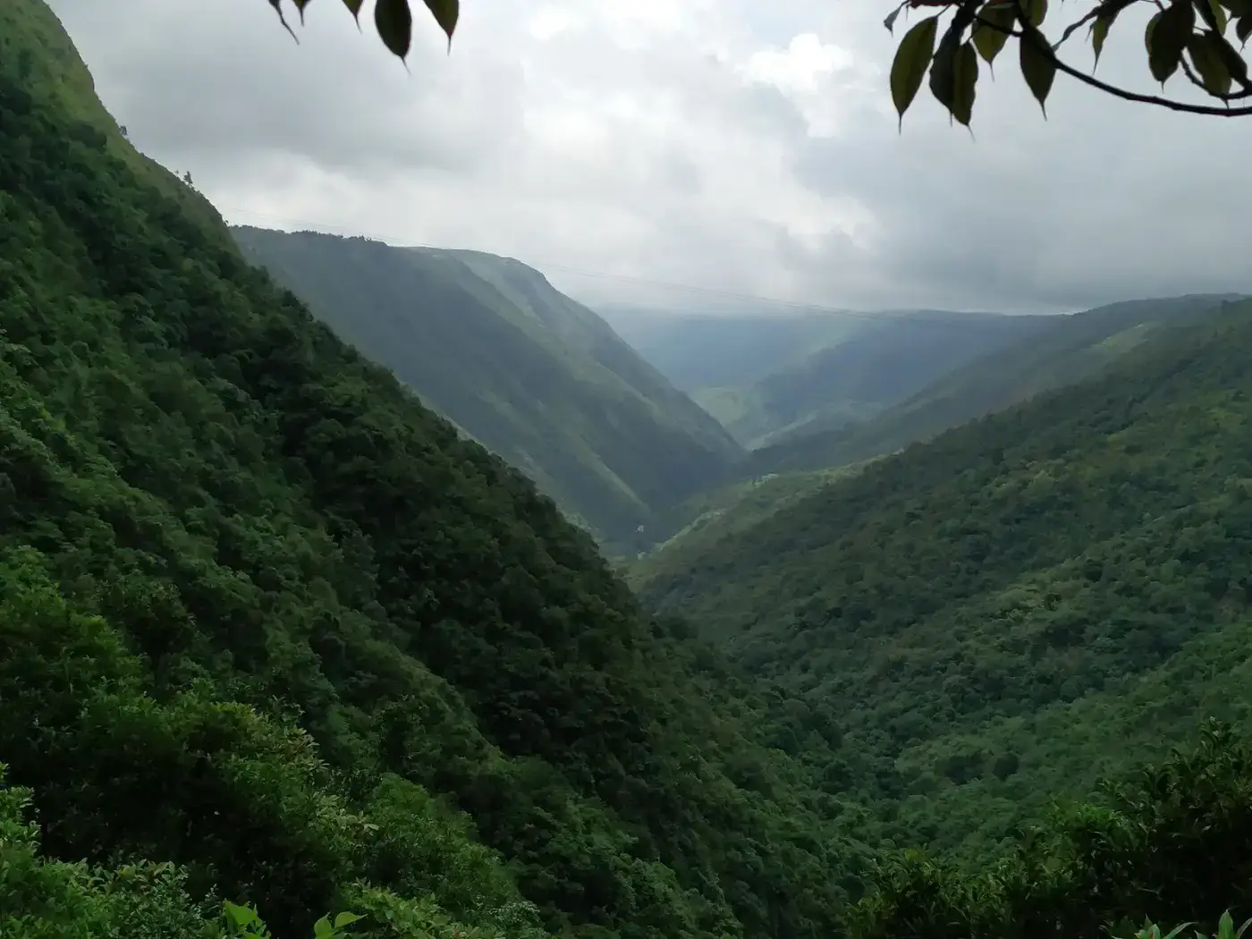 Deep green Mawkdok Dympep valley on the Shillong–Sohra road