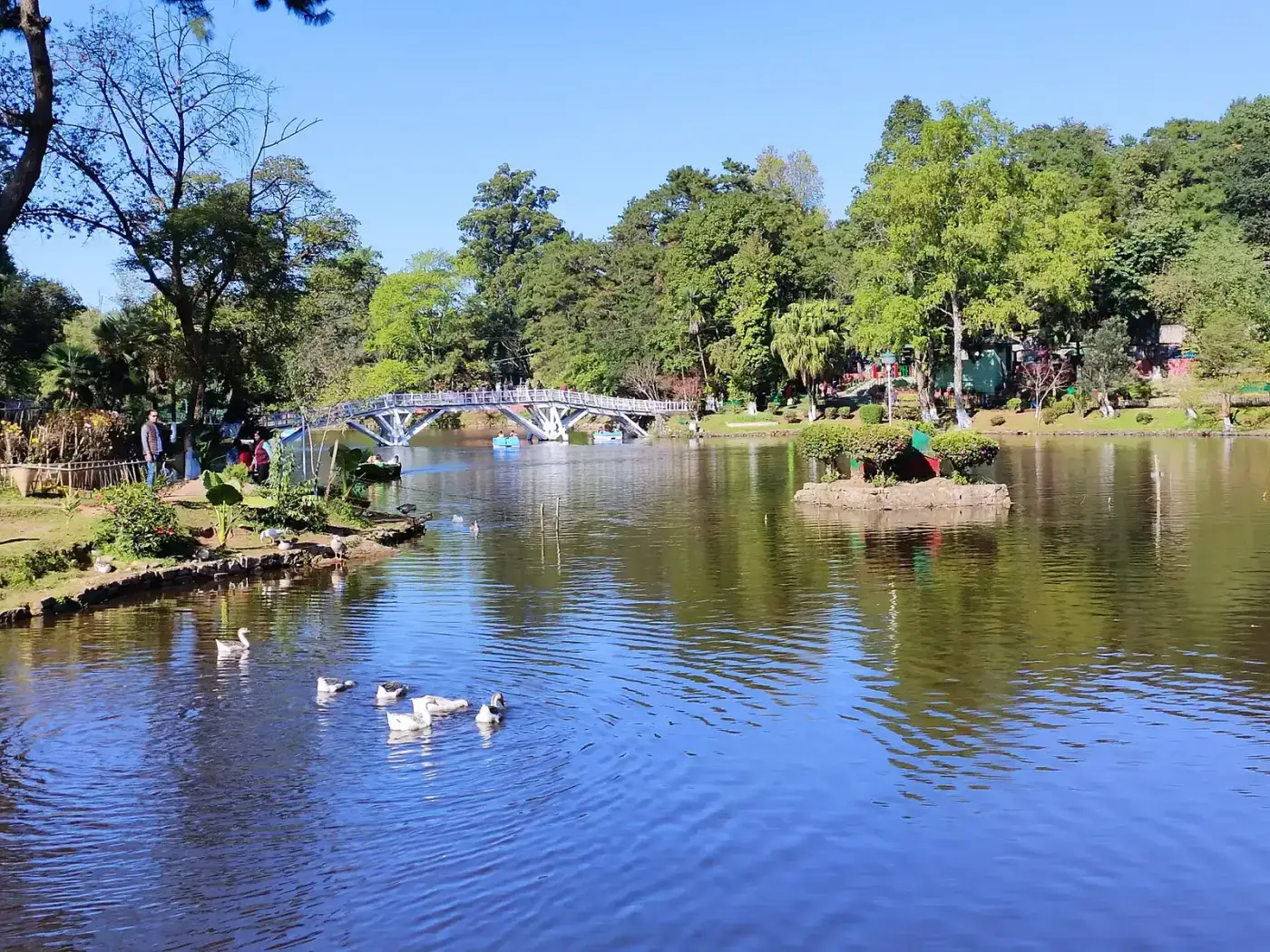 Ward's Lake garden and pond in Shillong, Meghalaya