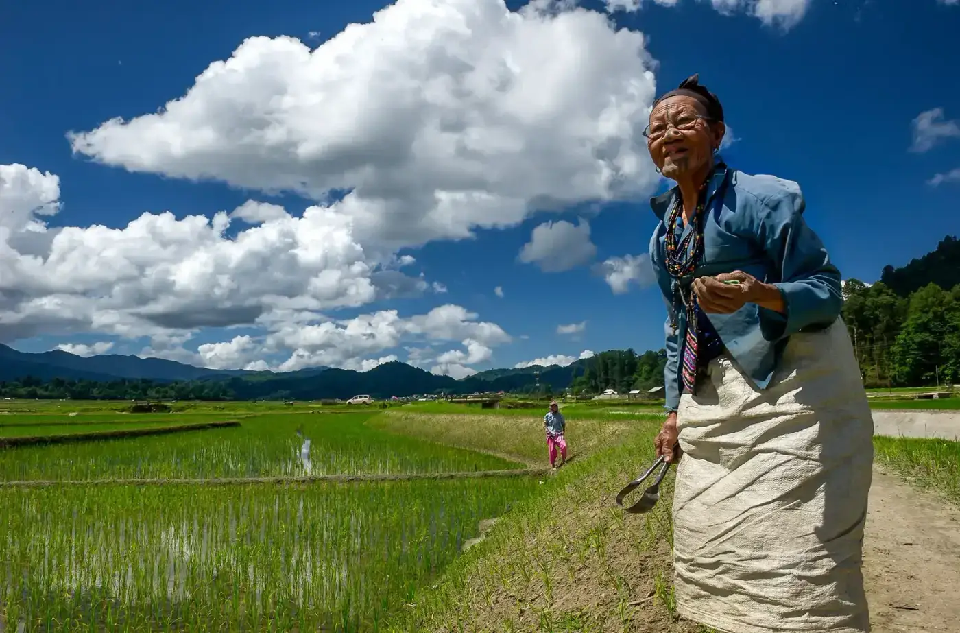 Apatani elder walking through the fields of Ziro
