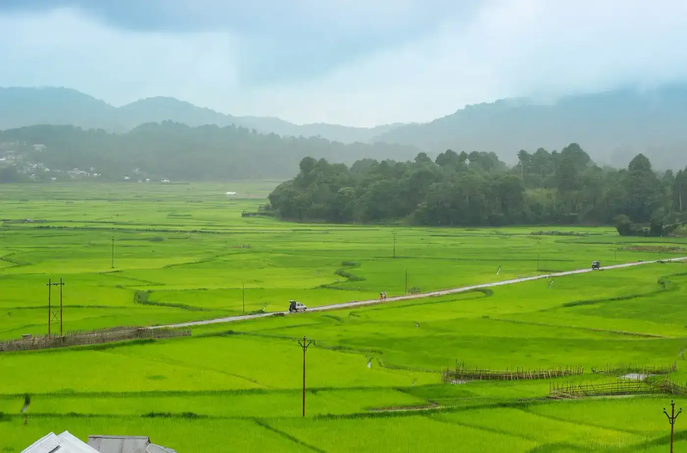 Panorama of the flat Ziro Valley plateau ringed by hills